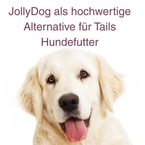 Freundlicher, heller Hund mit herausgestreckter Zunge vor weißem Hintergrund – JollyDog als hochwertige Alternative zu Tails Hundefutter.